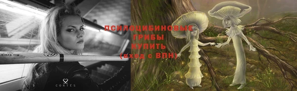 мдпв Магадан