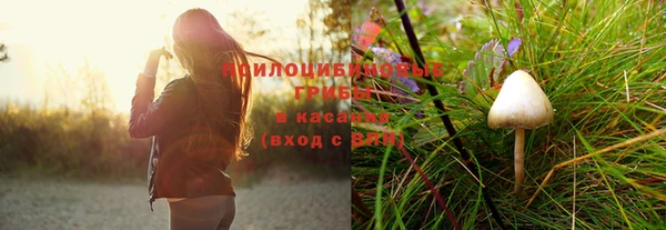 трава Майский
