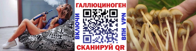 Купить закладки  Ялта  Галлюциногенные грибы GOLDEN TEACHER 
